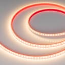 Светодиодная лента герметичная RTW-PS-A120-10mm 24V Warm3000 (9.6 W/m, IP67, 2835, 5m) (Arlight, 9.6 Вт/м, IP67) 021462(2)