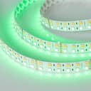 Светодиодная лента RT-B144-19mm 24V RGBW-Day (32 W/m, IP20, 5060, 5m) (Arlight, -) 018144(2)