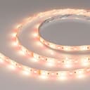 Светодиодная лента RTW-SE-B60-10mm 24V RGBW-Warm (14.4 W/m, IP65, 5060, 5m) (Arlight, Открытый) 034185
