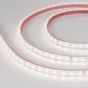 Светодиодная лента герметичная RTW-PS-A80-10mm 24V Day5000 (6 W/m, IP67, 2835, 5m) (Arlight, 6 Вт/м, IP67) 024517(2)