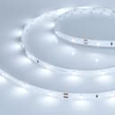 Светодиодная лента RT 2-5000 24V White6000 0.5x (3528, 150 LED, LUX) (Arlight, 2.9 Вт/м, IP20) 019917(B)