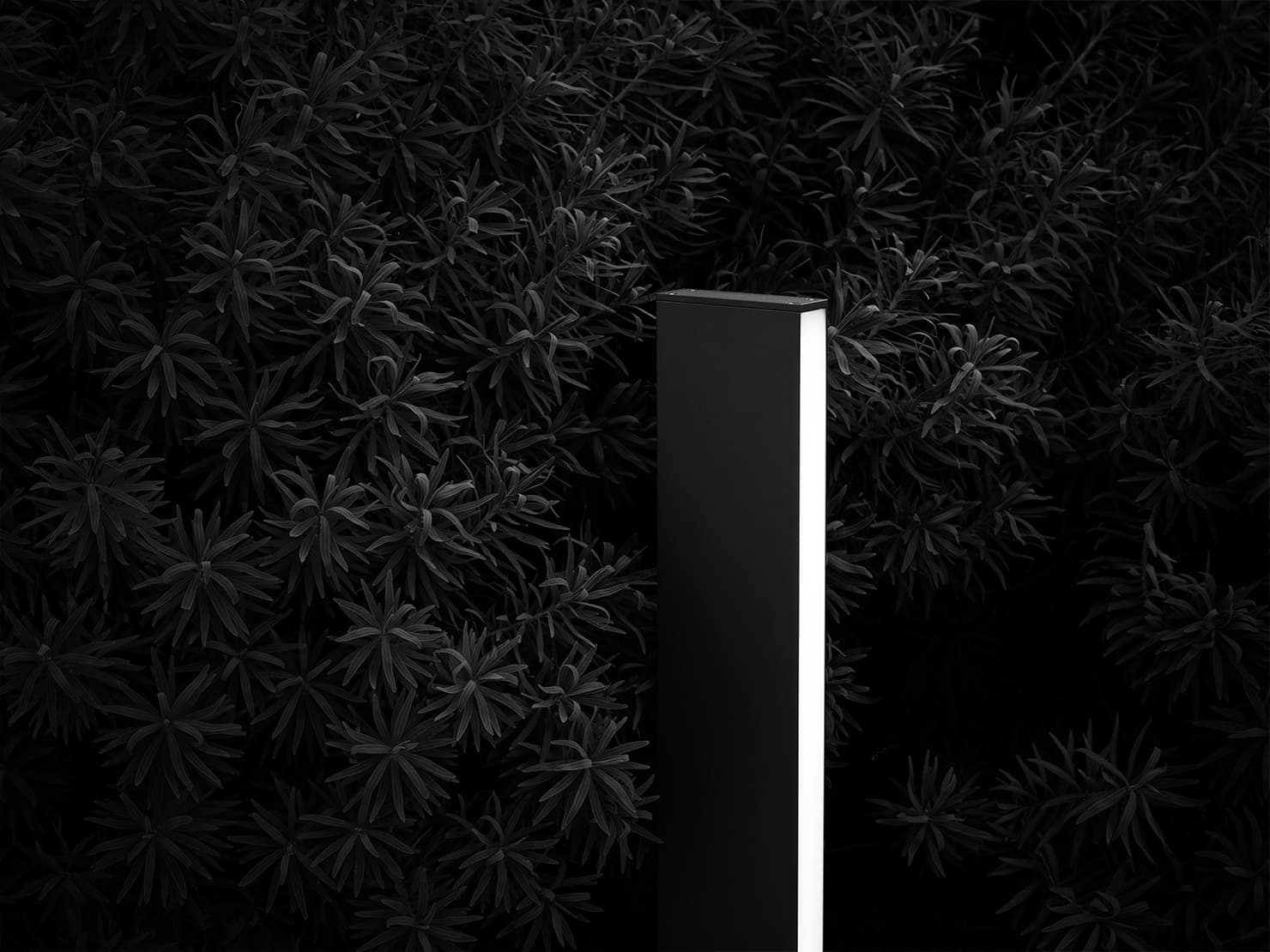 Flos Professional Talia H 560 Flos