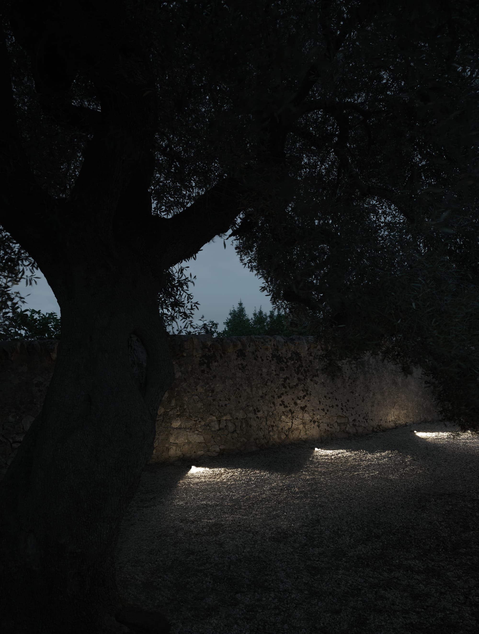 Flos Professional Gobi 180 Flos