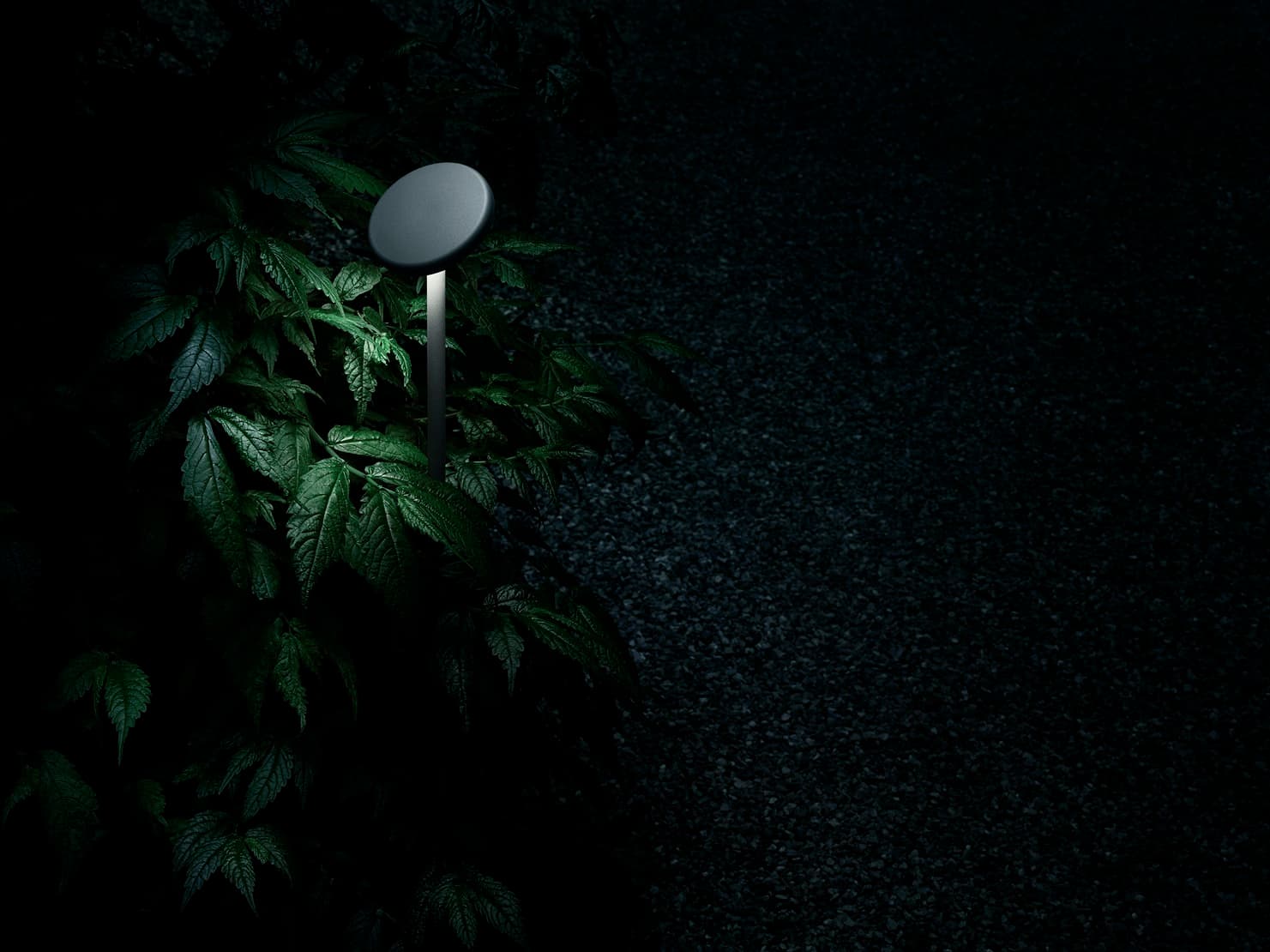 Flos Professional Landlord Soft Flos