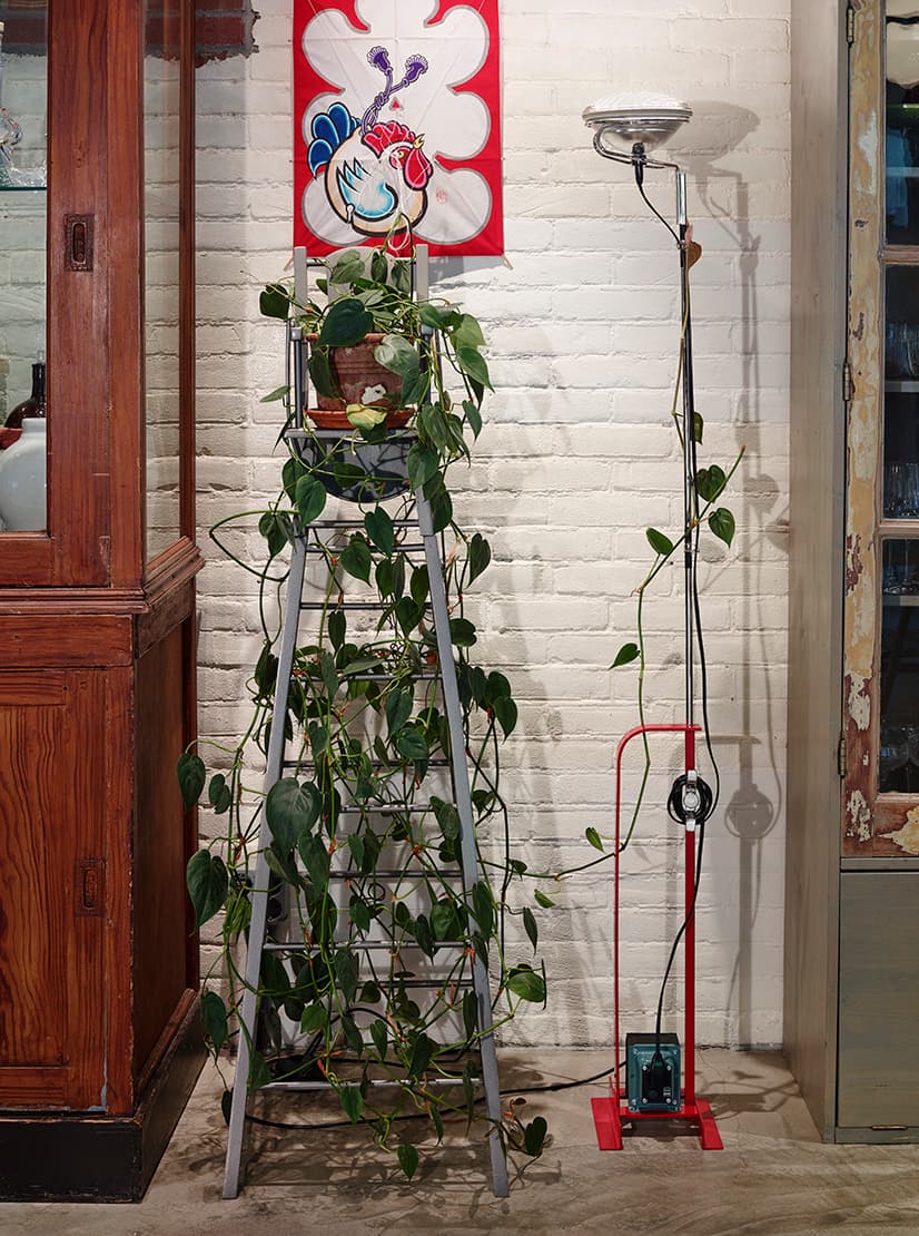 Flos Professional Toio Flos