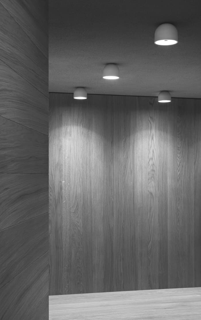 Flos Professional Wan Wall/Ceiling Flos