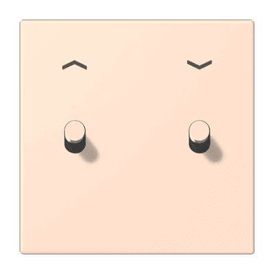 Накладка 2 тумблерами, с символами стрелок, Jung LC12-5PR0228 JUNG