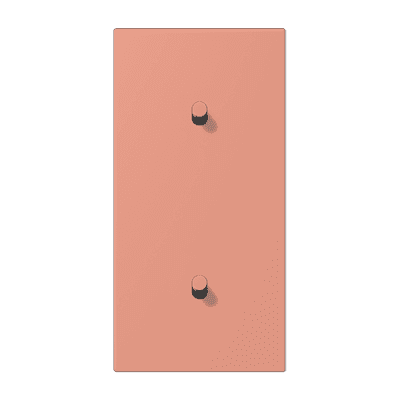 Накладка с 2 х 1 тумблерами, вертик., Jung LC12-20R0233 JUNG