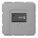 USB розетка для зарядки мобильных устройств тип C, 5-60W, Темно-серый, CD серия, Jung