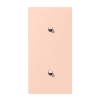 Накладка с 2 х 1 тумблерами, вертик., Jung LC12-20R0234 JUNG