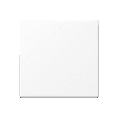 Клавиша для одинарного выключателя; белый матовый, Jung EP490WWM JUNG