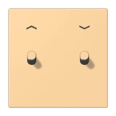 Накладка 2 тумблерами, с символами стрелок, Jung LC12-5PR0258 JUNG