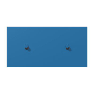 Накладка с 2 х 1 тумблерами, горизонт., Jung LC12-200R0211 JUNG