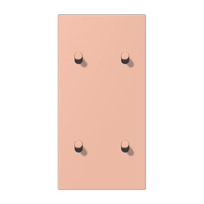 Накладка с 2 х 2 тумблерами, вертик., Jung LC12-25R0231 JUNG