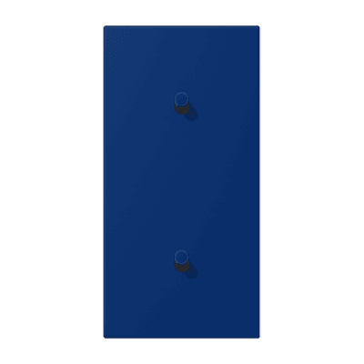 Накладка с 2 х 1 тумблерами, вертик., Jung LC12-20R0261 JUNG