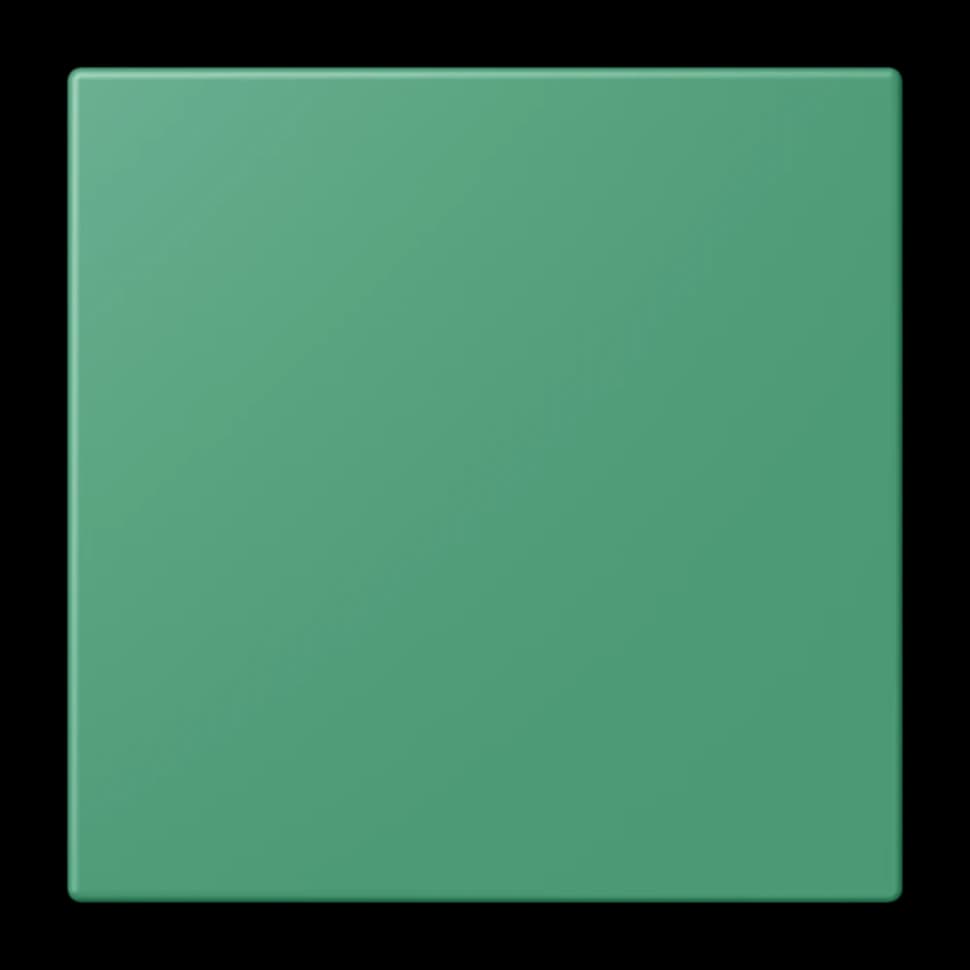 Jung Источник бесперебойного питания для системы экстренного вызова, LC4320G, NRSLC0834USV250 NRSLC0834USV250 JUNG