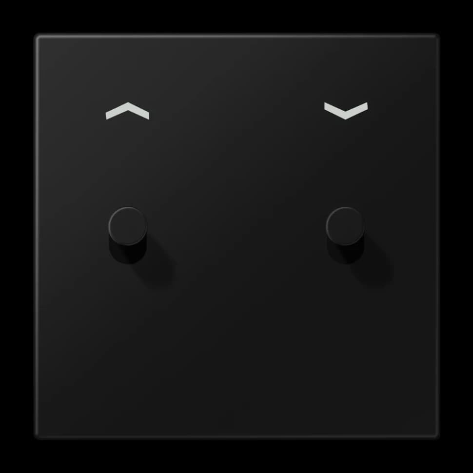 Jung Центральная плата с символами "стрелки" для выключателей, 1 пост, 2 тумблера, цилиндр; металл; алюминий; LS1913, AL12-5PSWMK08 AL12-5PSWMK08 JUNG