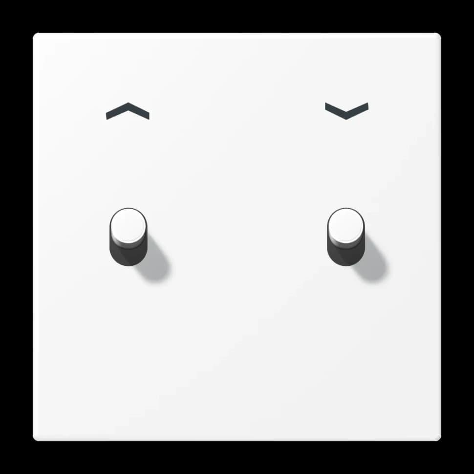 Jung Центральная плата с символами "стрелки" для выключателей, 1 пост, 2 тумблера, цилиндр; металл; алюминий; LS1916, AL12-5PWWMR07 AL12-5PWWMR07 JUNG