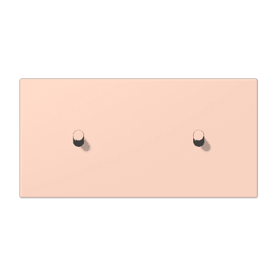 Накладка с 2 х 1 тумблерами, горизонт., Jung LC12-200R0234 JUNG