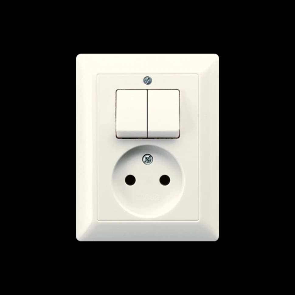 Jung Выключатель + розетка, AS5545EU AS5545EU JUNG