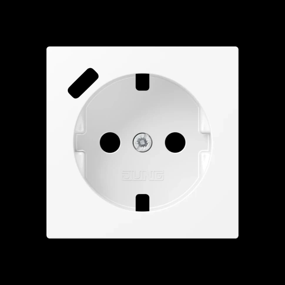Jung Центральная накладка для SCHUKO USB C, A1520-18CPLWWM A1520-18CPLWWM JUNG