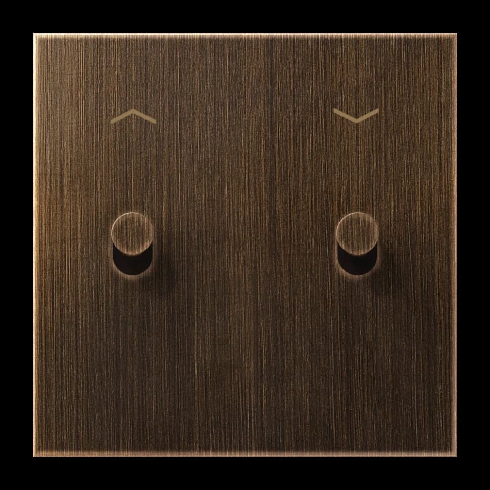 Jung Центральная плата с символами «стрелки», 1 пост, 2 тумблера, цилиндр, ME12-5PATK26 ME12-5PATK26 JUNG