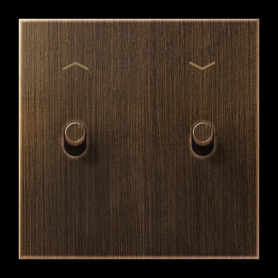 Jung Центральная плата с символами «стрелки», 1 пост, 2 тумблера, цилиндр, ME12-5PATR26 ME12-5PATR26 JUNG