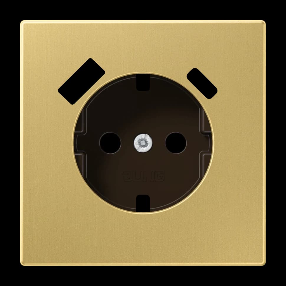 Jung Центральная накладка для SCHUKO USB CA, ME1520-15CAPLC ME1520-15CAPLC JUNG