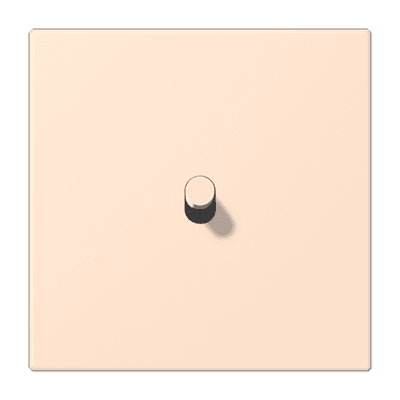 Накладка 1 группа с 1 тумблером, Jung LC12-0R0228 JUNG