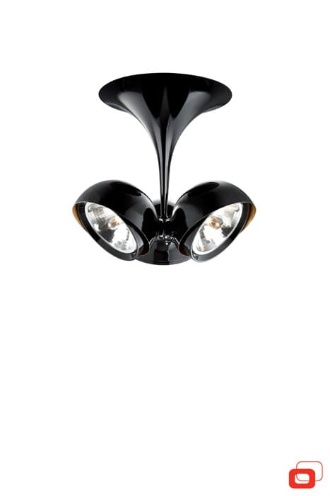 Потолочный светильник Lirio Pallo 5707330LI