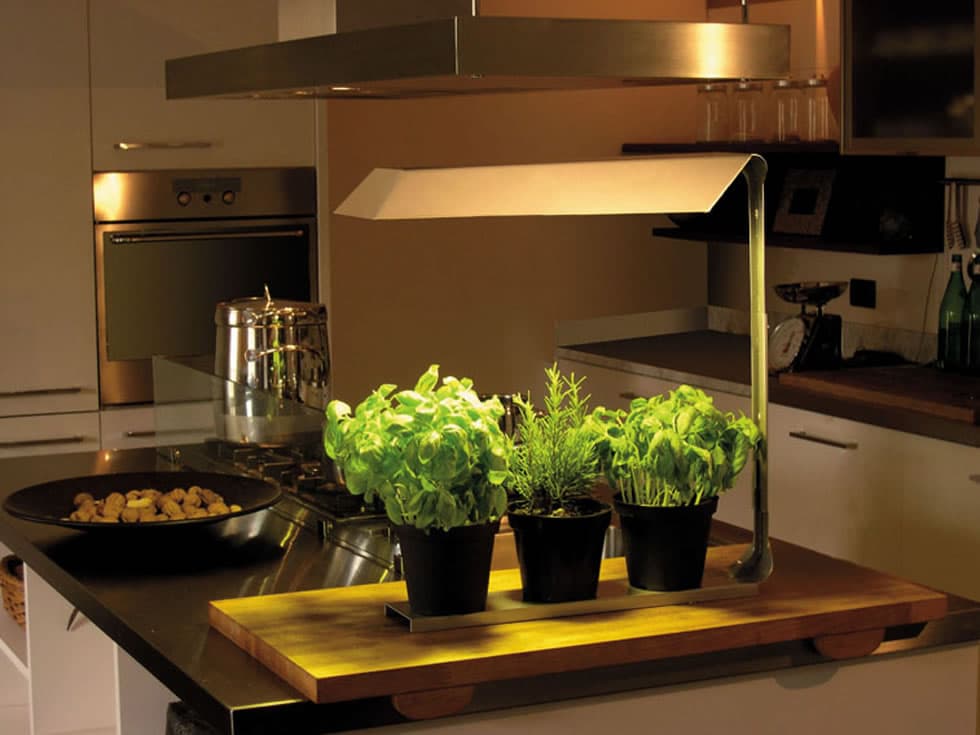 Настольный светильник Knikerboker Coltiva Knikerboker