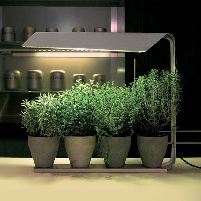 Настольный светильник Knikerboker Coltiva Knikerboker