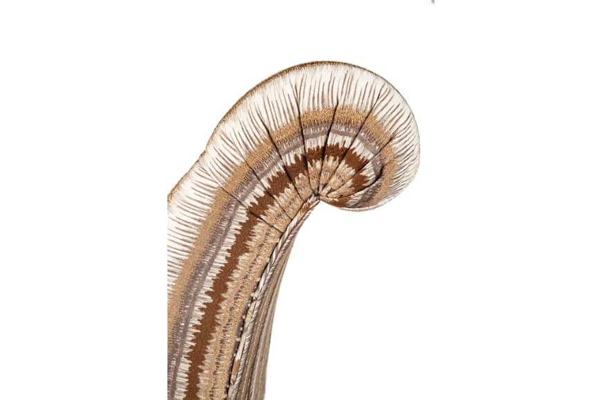 Кресло Theodore Alexander Josephine Chair