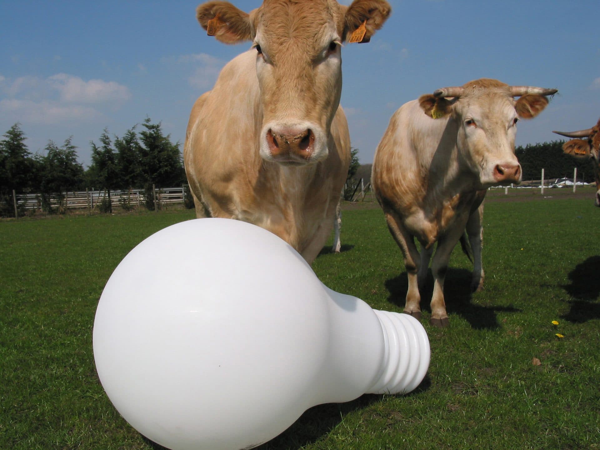 Напольный светильник Eden Design °SO1 Eden Design