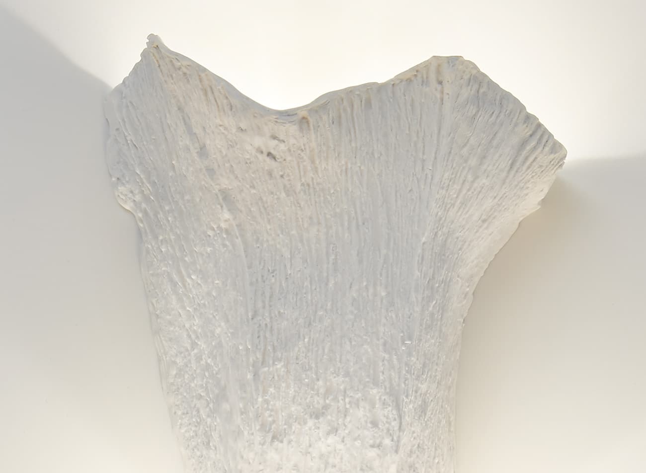 Настенный светильник Charles ECORCE Charles