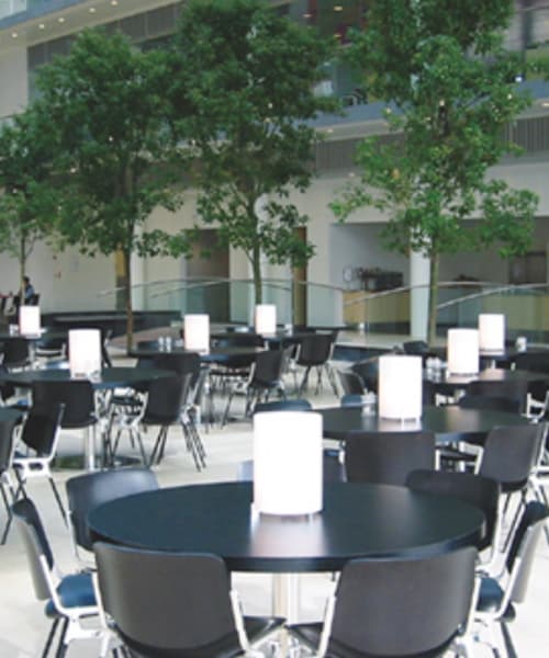 Настольная лампа Prandina CPL T3