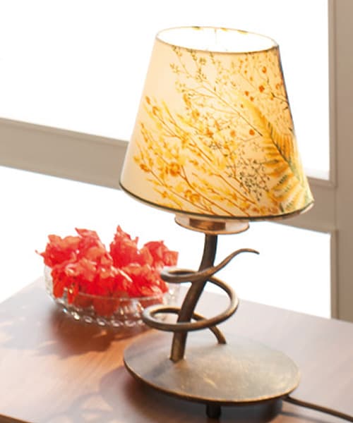 Настольная лампа Robers Indoor TL4081