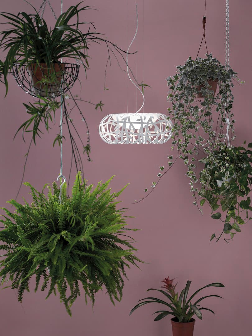 Подвесной светильник Studio Italia Design Maggio Lodes (Studio Italia Design)