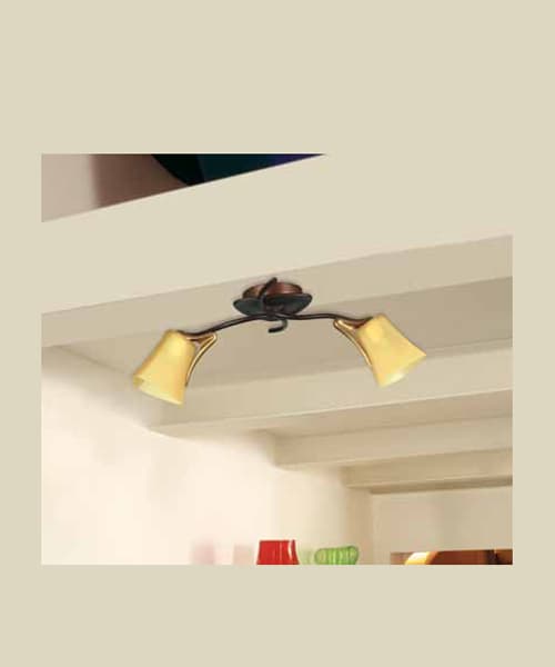 Потолочный светильник Marchetti Illuminazione Ginseng PL2N Marchetti Illuminazione