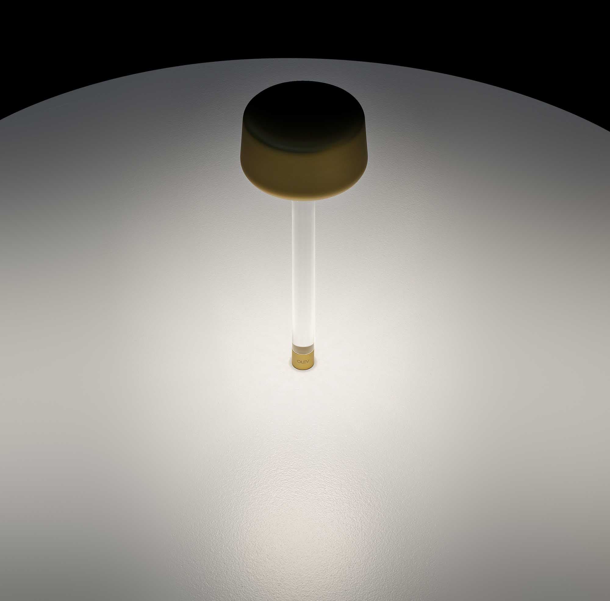 Настольный светильник OLEV Tee OLEV