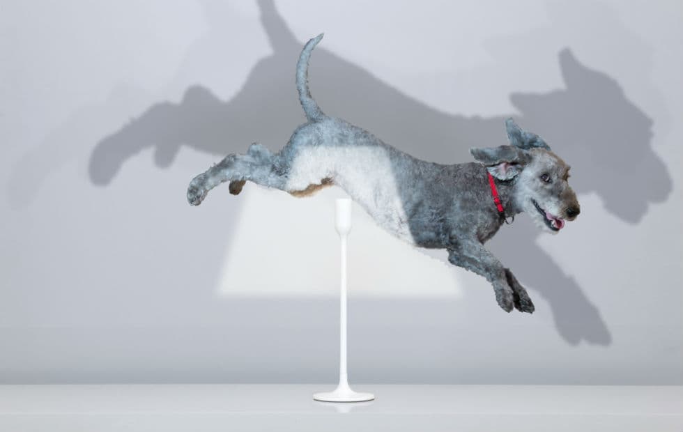 Настольный светильник Innermost YOYLight Innermost