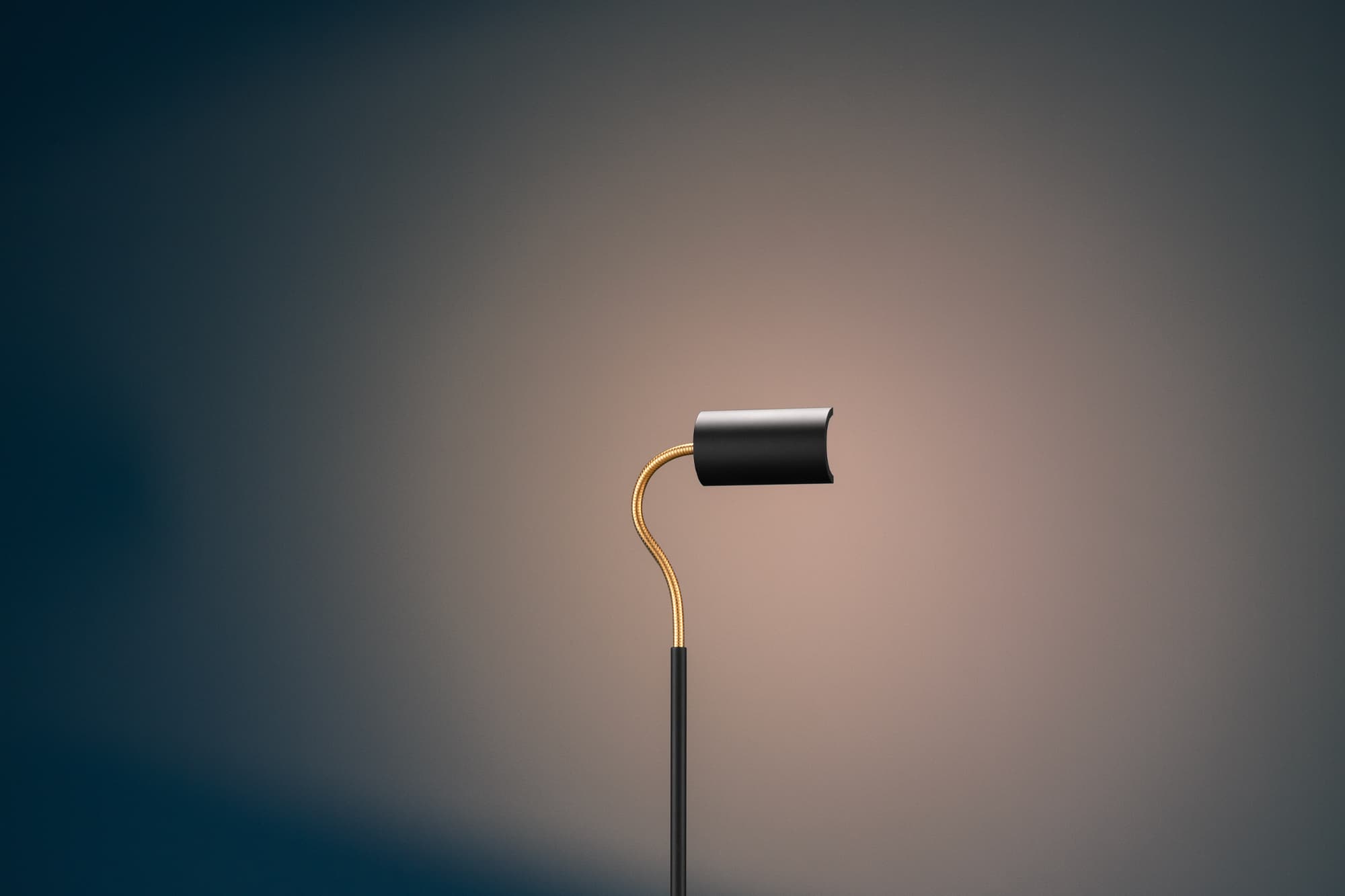 Торшер Catellani & Smith U. F Flex Catellani&Smith