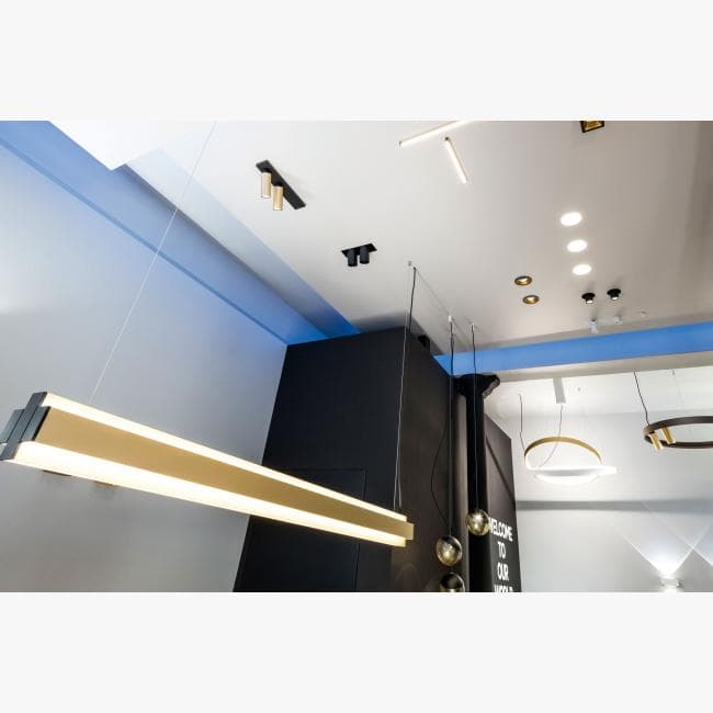 Подвесной светильник Delta Light ONE-AND-ONLY P12 DOWN-UP 930 Delta Light