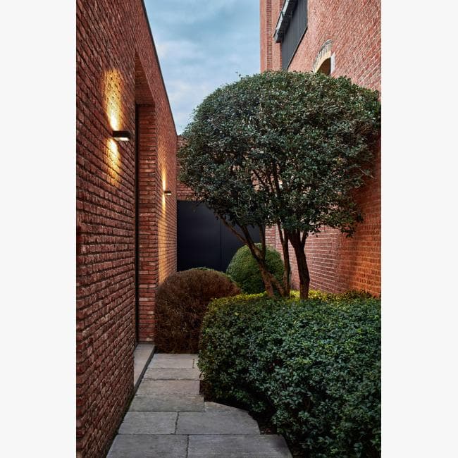 Настенный светильник Delta Light WALKER II W S 930 Delta Light