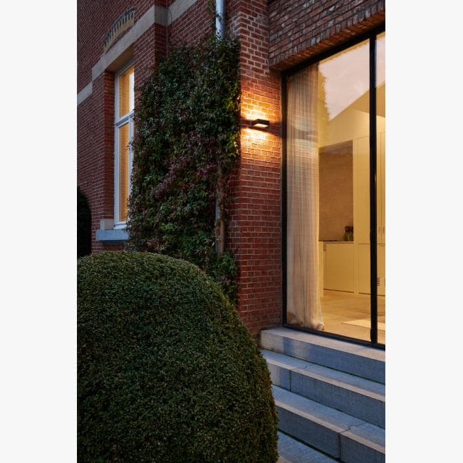 Настенный светильник Delta Light WALKER II W S 930 Delta Light