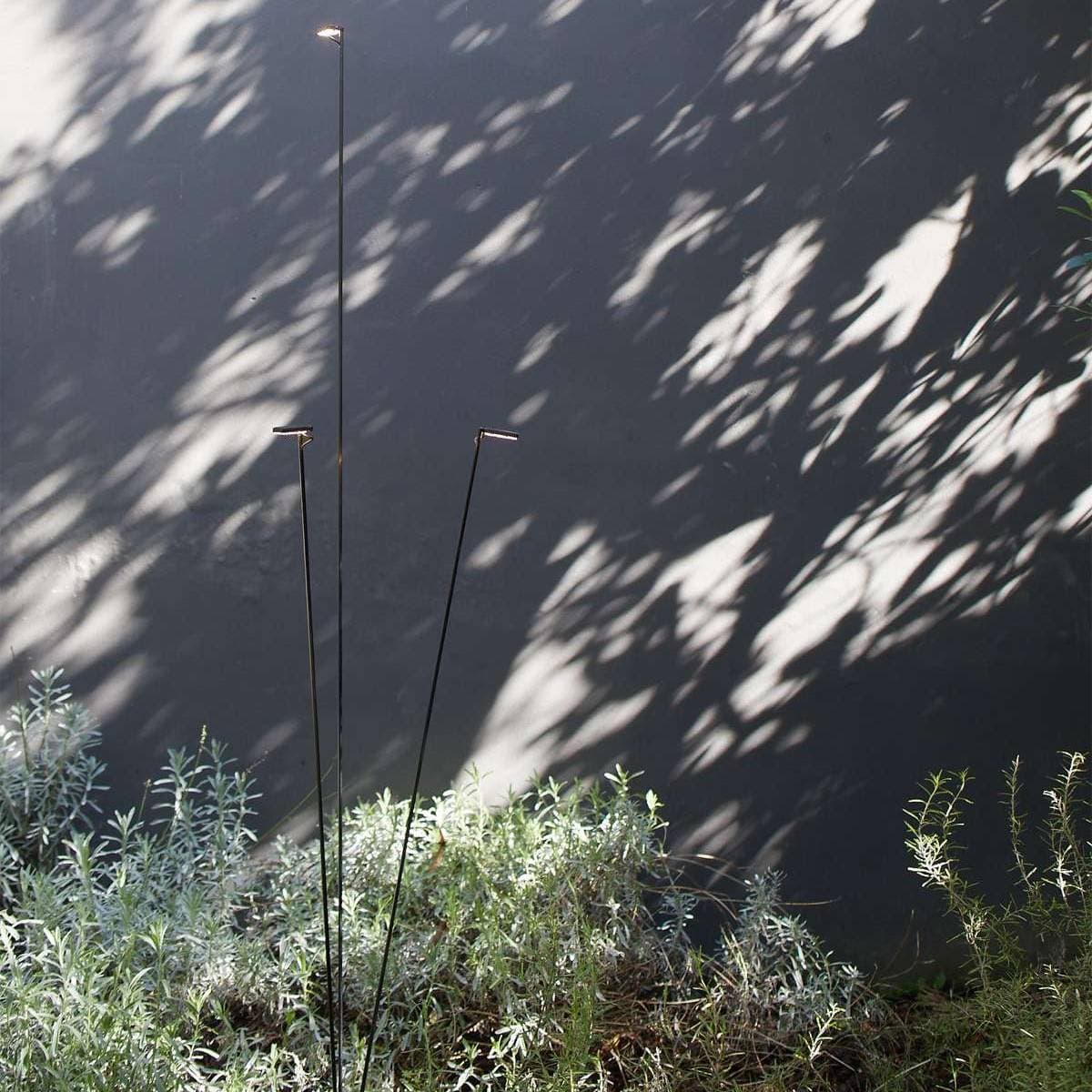 Напольный светильник Luceplan Flia 75 Luceplan