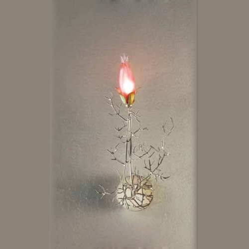 Настенный светильник Patrizia Volpato Erica 4061/APP1 Patrizia Volpato