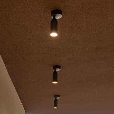 Потолочный светильник Platek Flamingo 2.0 200 Platek