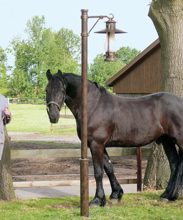 Уличный фонарь Robers AL 6667 Robers