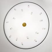 Потолочный светильник Kolarz NONNA 731.U14.4.70 KOLARZ